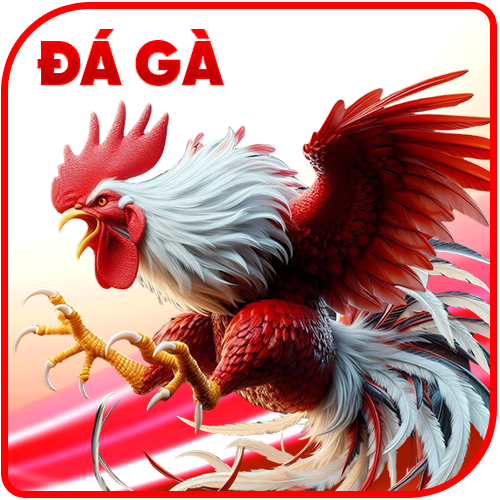 Đá gà
