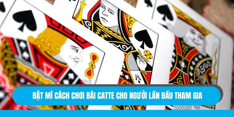 Bật mí cách chơi bài catte cho người lần đầu tham gia