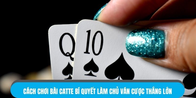Cách Chơi Bài Catte – Bí Quyết Làm Chủ Ván Cược Thắng Lớn