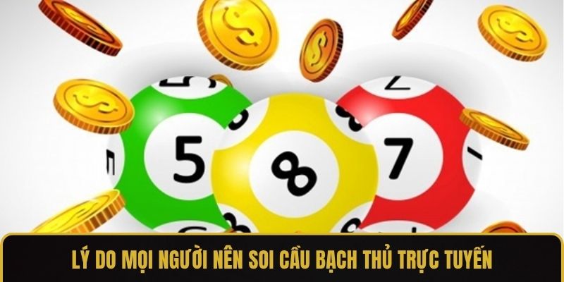Lý do mọi người nên soi cầu bạch thủ trực tuyến