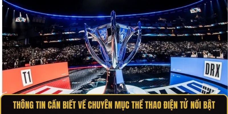 Thông tin cần biết về chuyên mục thể thao điện tử nổi bật